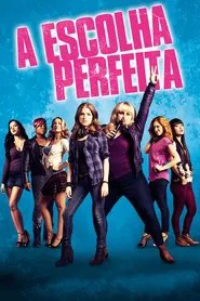 Poster do filme A Escolha Perfeita