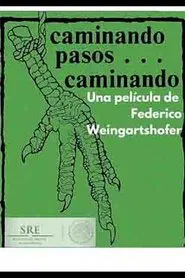 Caminando pasos... caminando movie poster