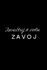 Report from the Zavoj Village movie poster