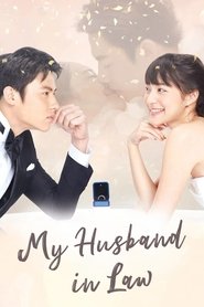 My Husband in Law tv show poster