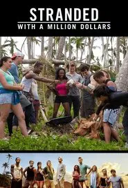 Stranded with a Million Dollars tv show poster
