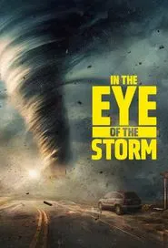 In the Eye of the Storm tv show poster