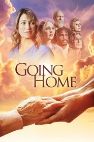 Going Home tv show poster