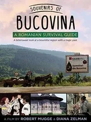Souvenirs of Bucovina: A Romanian Survival Guide movie poster