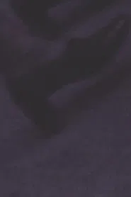 Chips In The Sight movie poster