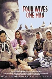 Four Wives - One Man movie poster