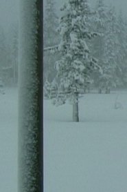 Crystal Palace movie poster