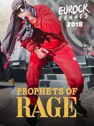 Prophets of Rage: Eurockéennes 2018 movie poster