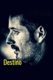 Destiny movie poster