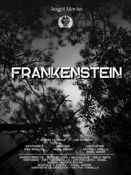 Frankenstein The Creature movie poster