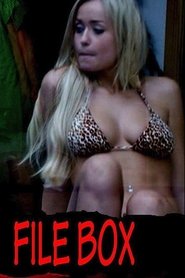 File Box movie poster