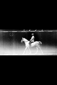 Horse (Cob), Mounted, Steps movie poster