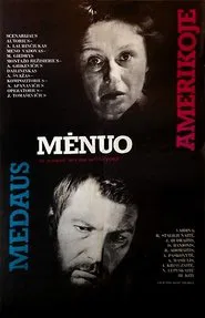 Poster do filme Medaus mėnuo Amerikoje