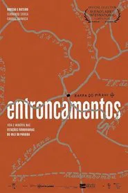 Entroncamentos movie poster