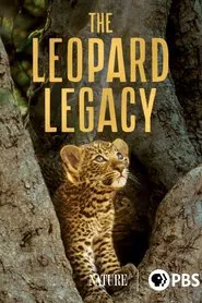 Poster do filme The Leopard Legacy