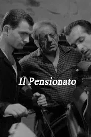 Il pensionato movie poster