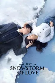 Amidst a Snowstorm of Love tv show poster