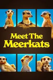 Meet The Meerkats tv show poster