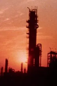 Beijing Electron Positron Collider / Yangtze Ethylene Project / Qinshan Nuclear Power Station / Guangzhou Peugeot: A New Generation of Motor Vehicles in China movie poster