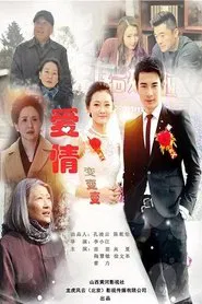 爱情变变变 tv show poster