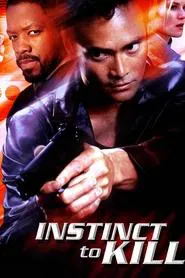 Poster do filme Protetor