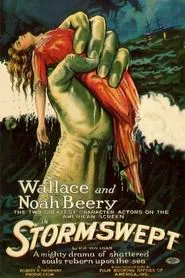 Stormswept movie poster