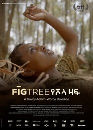 Fig Tree movie poster