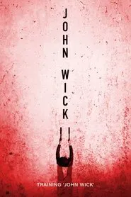 Training 'John Wick' movie poster