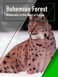The Bohemian Forest - Wilderness in the Heart of Europe movie poster