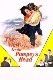 The View from Pompey's Head movie poster