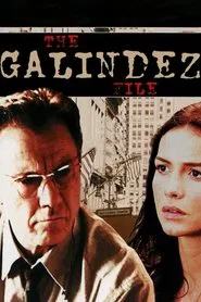 The Galíndez File movie poster