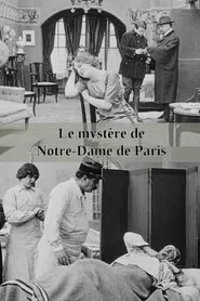 Poster do filme The Mystery of Notre-Dame de Paris