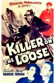 Poster do filme Killer at Large