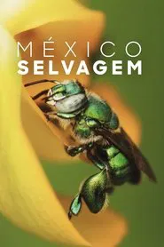 Poster da série México Selvagem