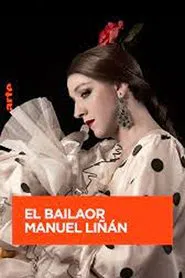Poster do filme Manuel Liñán - The New Face of Flamenco