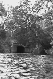 The Name is not the Thing named movie poster