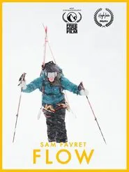 Poster do filme FLOW