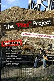 The Piles Project movie poster