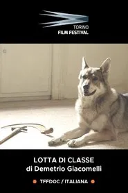 Lotta di Classe - Il cinema dei ragazzi di Emilio Sidoti movie poster