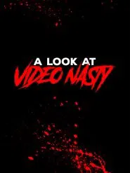 A Look at Video Nasty movie poster