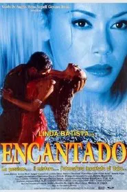 Encantado movie poster