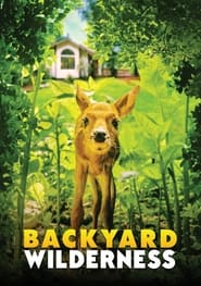 Poster do filme Backyard Wilderness