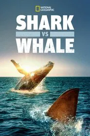 Shark Vs. Whale movie poster