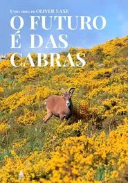 O futuro é das cabras movie poster