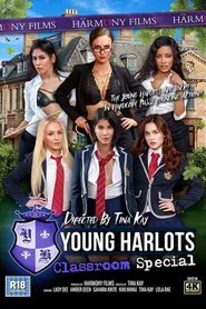 Young Harlots: Classroom Special movie poster