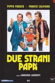 Due strani papà movie poster