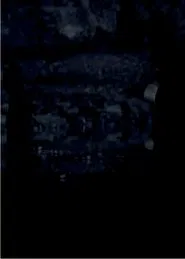 Los exploradores movie poster