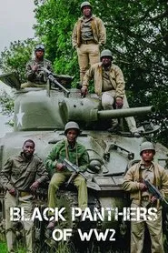 The Black Panthers of WW2 tv show poster