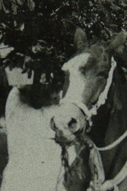 Once Upon a Time in Quizca movie poster