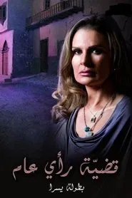 A Public Opinion Case tv show poster